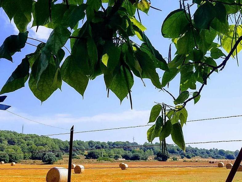 Cal Rusc Allotjament Rural Bed and Breakfast Crespiá Εξωτερικό φωτογραφία